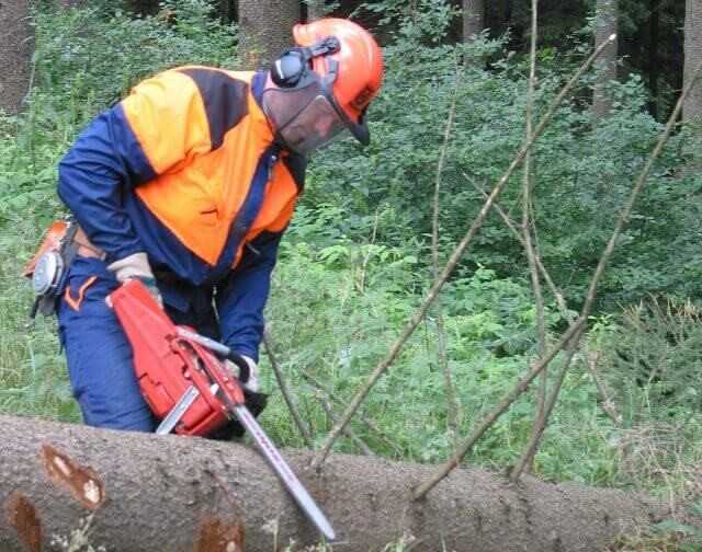 Unterschätzte Gefahr: Abgase in der Baumpflege