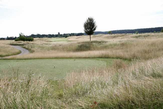 Rough und Hardrough-Flächen eignen sich, um die  Artenvielfalt auf Golfplätzen zu fördern. | Foto: bs
