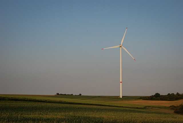 Um den Ausbau der Windenergieanlagen naturverträglich zu gestalten, werdem auch Änderungen im Bundesnaturschutzgesetz vorgenommen.