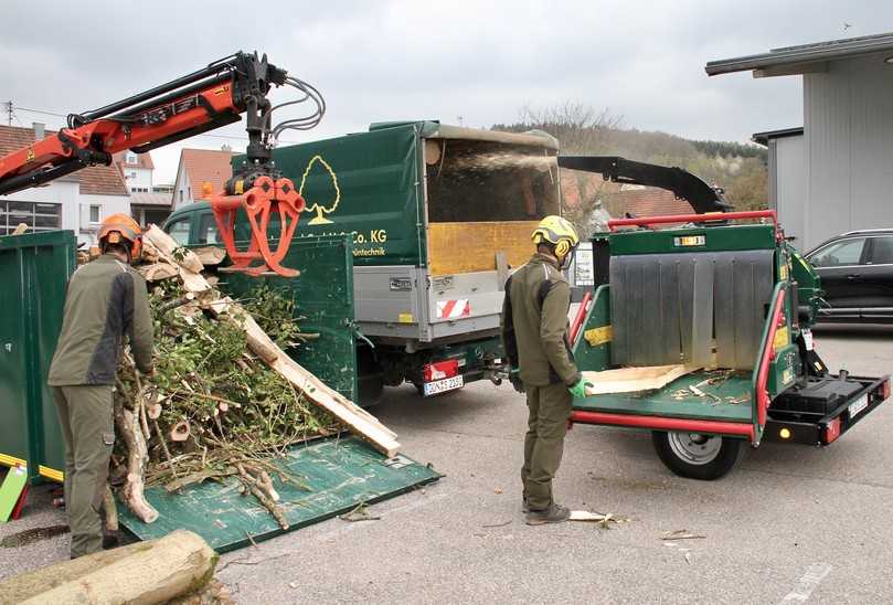 Echt bissig legte sich der firmeneigene Vermeer BC230G2XL gleich zu Beginn der Testaktion ins Zeug. | Foto: bs