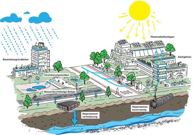 Als eine der besten Anpassungsstrategien an den Klimawandel gilt das Konzept der Schwammstadt. | Foto: Graf