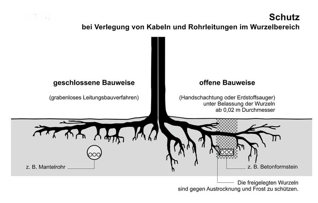 Baumschutz auf Baustellen: DIN 18920 und R SBB - RAS-LP 4 wurde ersetzt