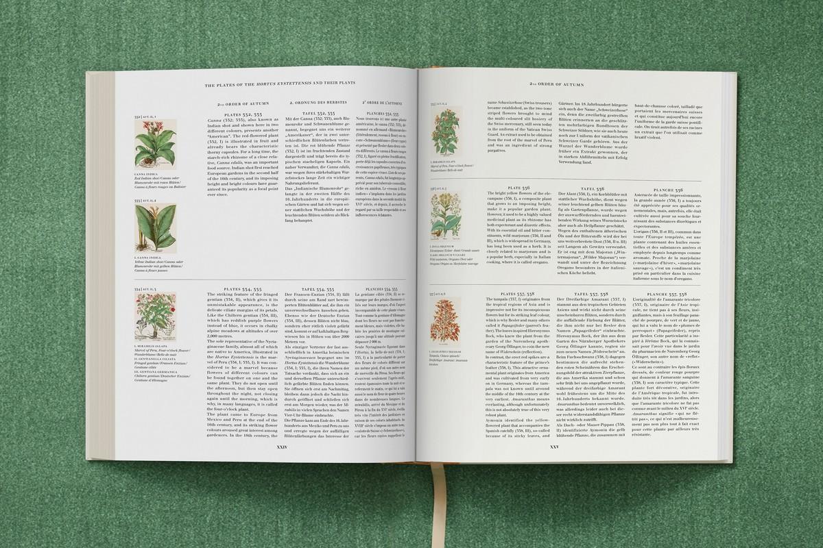 Die Tafeln des Hortus Eystettensis und ihre Pflanzen, Band III | Foto: TASCHEN / Bibliothek des Bischöflichen Seminars Eichstätt/Universitätsbibliothek
