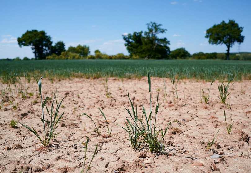 Auch Dürre, Wasserstress oder sinkende Grundwasserspiegel prägen den Klimawandel. | Foto: iStock / Ben Leach