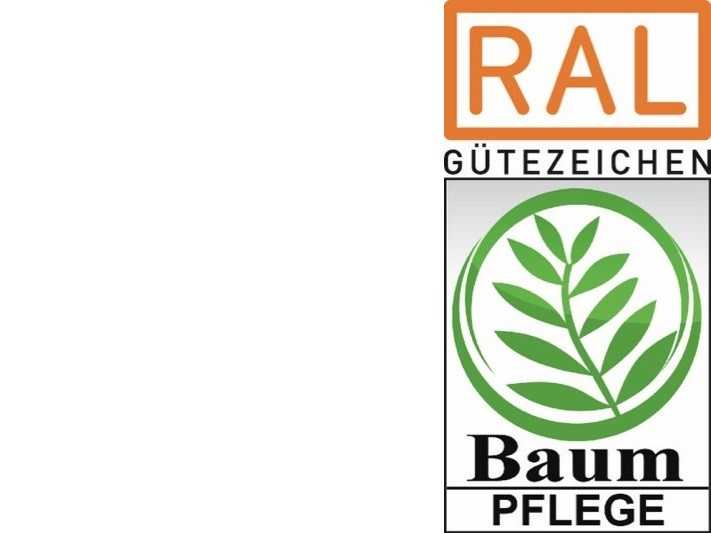 RAL Gütegemeinschaft überarbeitet ihre Güte- und Prüfbestimmungen zur Baumpflege