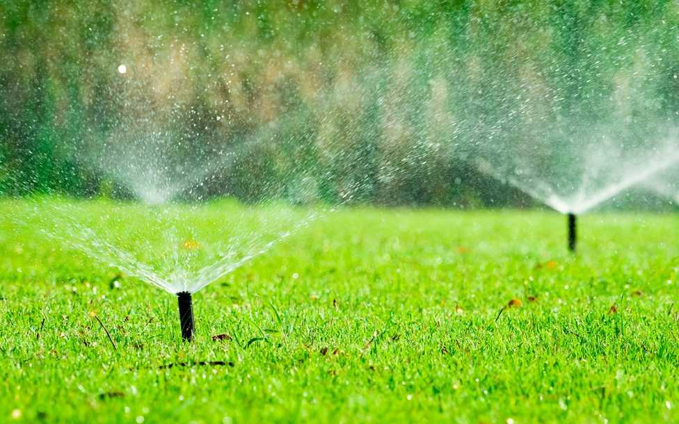 Wasser im Garten: Bewusst wässern und Ressourcen schonen