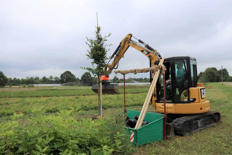 Caterpillar: Baumschule setzt Baumaschinen beim Aufforsten ein