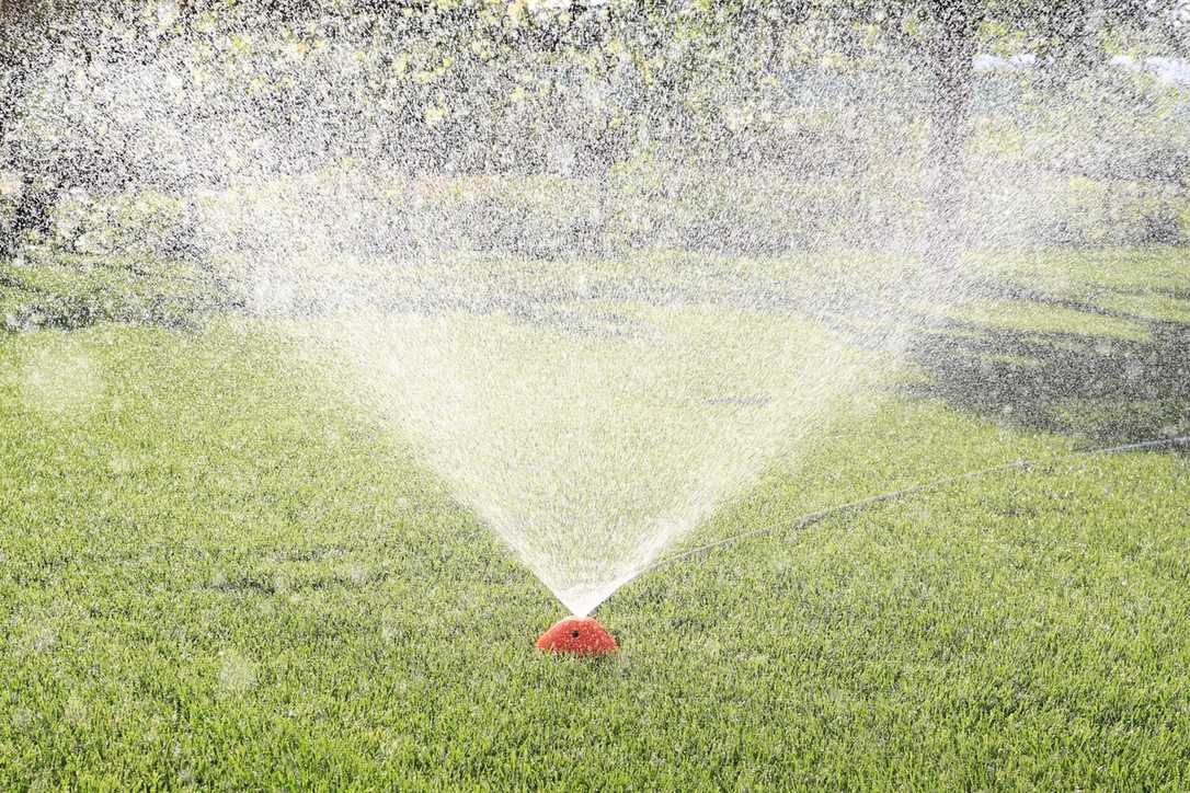 Rasen bewässern bei Hitze – mit Regenkäfer Rasen bewässern bei Hitze – mit Regenkäfer