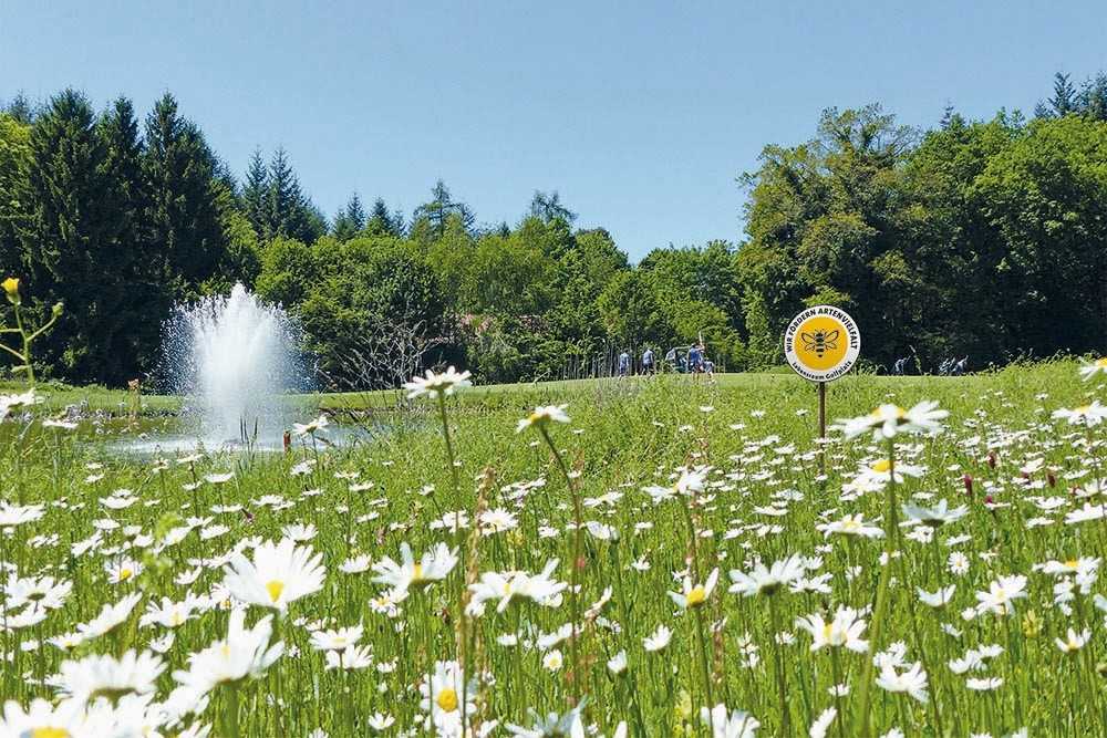 Golfplätze als Refugium für Biodiversität