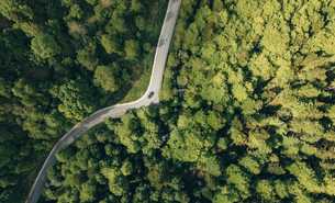 Nachhaltigkeit auch bei Direktvergaben