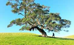 UBA veröffentlicht weitere Materialien als Hilfestellung für Vergabeverfahren