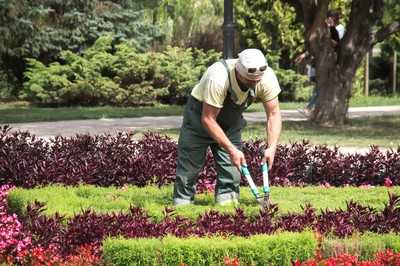 Zentralverband Gartenbau legt bei Kritik am Gesetzentwurf nach