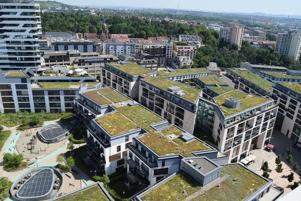 Gebäudegrün fürs Klima: BuGG-Marktreport für Bau, GaLaBau und Politik