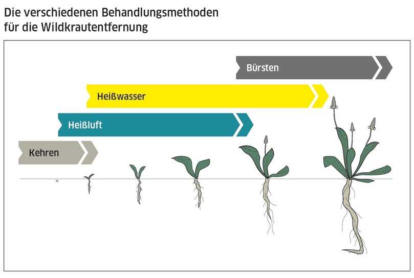 Wer regelmäßig kehrt, sorgt dafür, dass Samen gar nicht erst zu Unkraut werden können. Ist der Untergrund nicht fürs Kehren geeignet oder wird der Aufwand als zu groß erachtet, gibt es – je nach Wachstumsstadium – verschiedene technische Möglichkeiten: von Heißluft über heißen Wasserdampf und Heißwasser bis hin zur Mechanik. | Foto: Kärcher Wer regelmäßig kehrt, sorgt dafür, dass Samen gar nicht erst zu Unkraut werden können. Ist der Untergrund nicht fürs Kehren geeignet oder wird der Aufwand als zu groß erachtet, gibt es – je nach Wachstumsstadium – verschiedene technische Möglichkeiten: von Heißluft über heißen Wasserdampf und Heißwasser bis hin zur Mechanik. | Foto: Kärcher