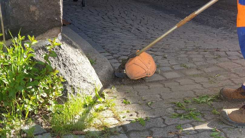 Neben den Laubbläsern sorgen auch Freischneider für ein sauberes Kiel. | Foto: B_I MEDIEN/hin