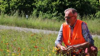 Pilotprojekt für mehr Natur