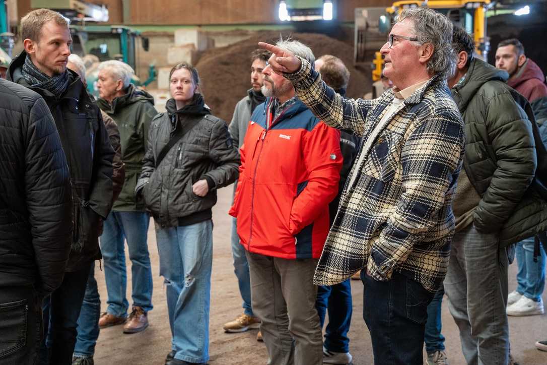 Baumpflanzung: Fehler vermeiden, Stadtgrün fördern