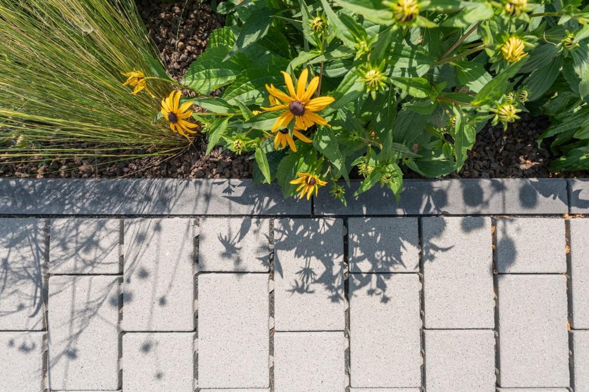 Betonstein, ein perfektes Zusammenspiel aus Natur und Hightech, stellt einen besonderen Baustoff dar. | Foto: SLG