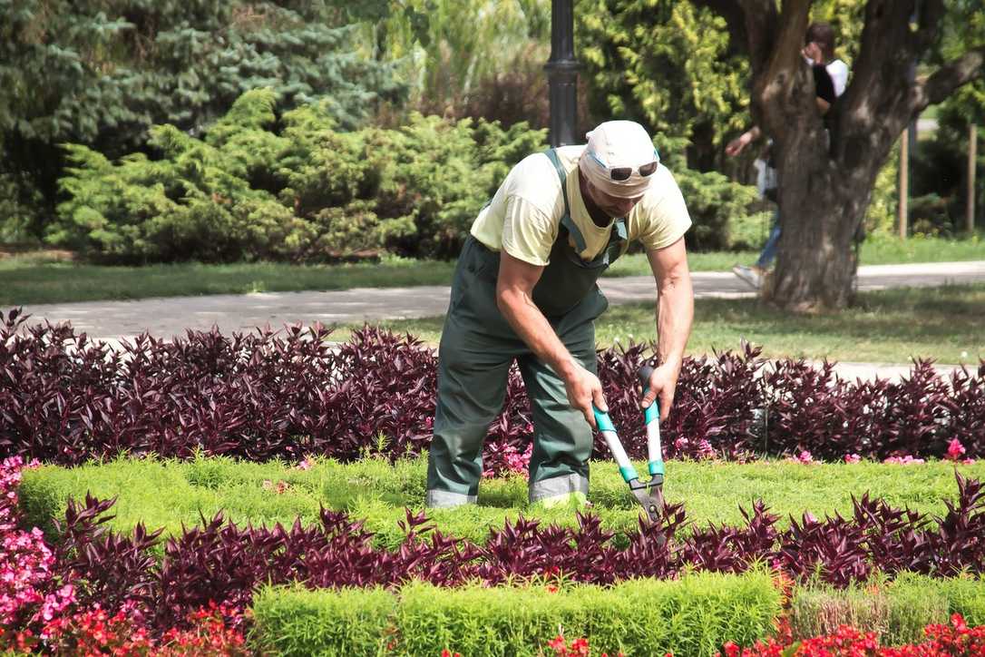 Mindestlohn: Gartenbau kritisiert Erhöhung wegen enormer Belastung der Betriebe