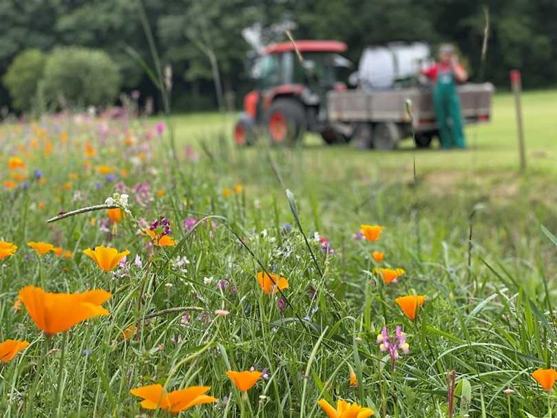 Blühwiese mit SpeedyGreener im Hintergrund. | Foto: IGG