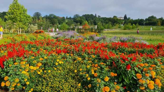 Die Landesgartenschau Wangen im Allgäu 2024 ist jetzt Geschichte. | Foto: Landesgartenschau Wangen