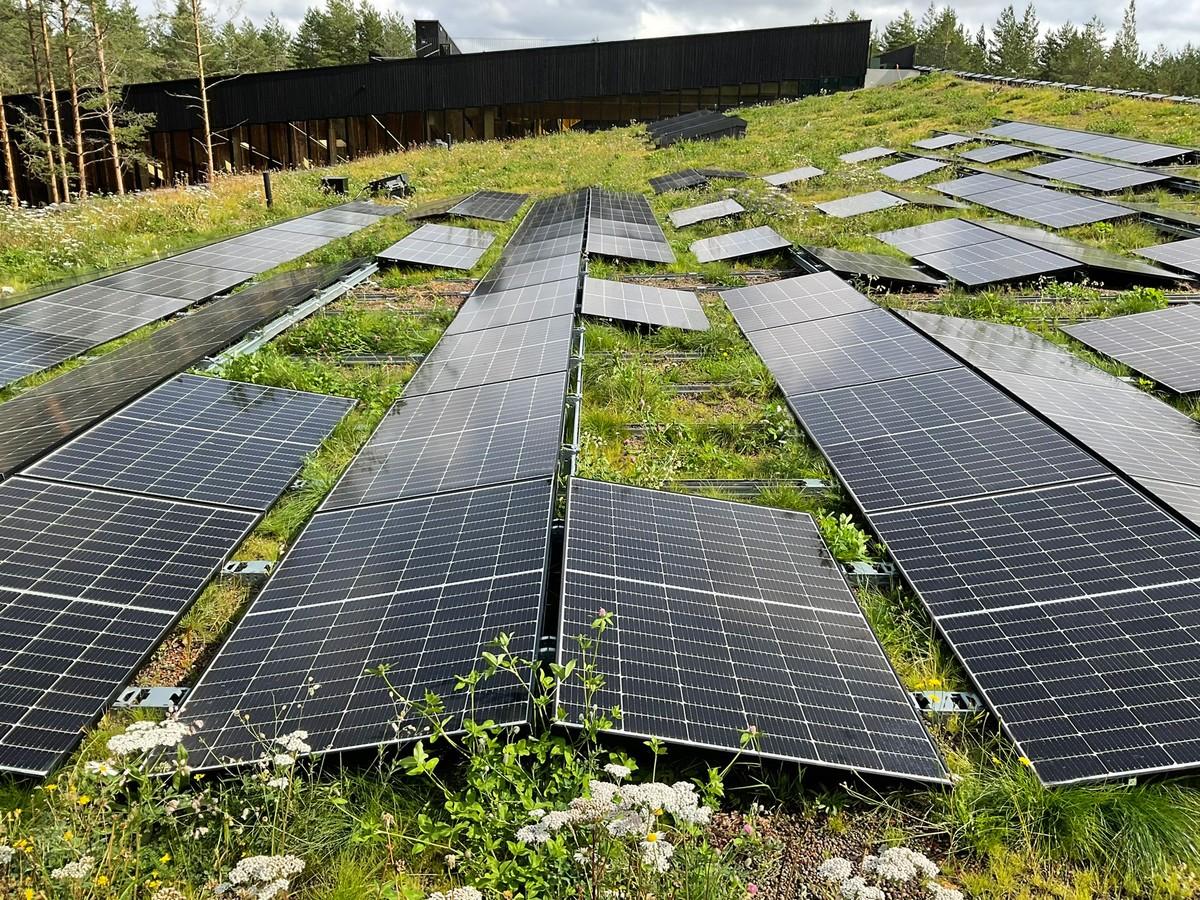 Biodiversität plus Solar ist eine wertvolle Kombination mit vielen Synergieeffekten. | Foto: MATTAK AS