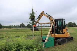 So helfen Baumaschinen beim Aufforsten