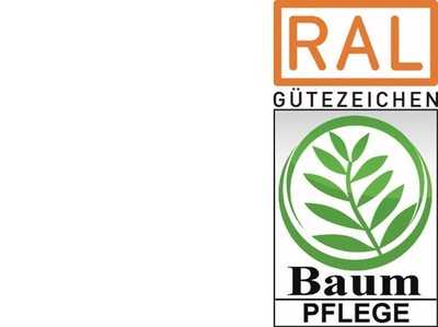 Güte- und Prüfbestimmungen zur Baumpflege überarbeitet