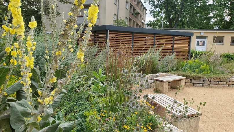 Geplant von der Stiftung für Mensch und Umwelt: ein Piko-Park, also ein kleiner, naturnah gestalteter Park, in Berlin mit heimischen Pflanzen in den drei Themenbeeten Steinhabitat, magere Staudenmischpflanzung und essbare Wildpflanzen. | Foto: Stiftung für Mensch und Umwelt