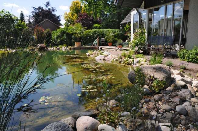 Ein bestehendes, kleines Biotop wurde zu einem großen Swimming Pond umgerüstet: Mit dem besonders gelungenen Umbauprojekt sicherte sich GaLaBau Kreye den „Design Award“ in der Kategorie Umbauten und Sanierungen. | Foto: Kreye GmbH Co KG