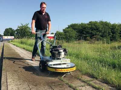 Wildkraut chemiefrei entfernen