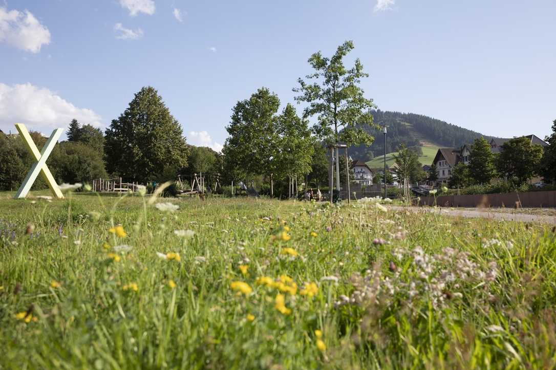 Gartenschau im Tal X mit über 1000 Veranstaltungen Gartenschau im Tal X mit über 1000 Veranstaltungen