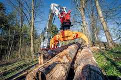 Mit dem Woodgripper greifen und sägen