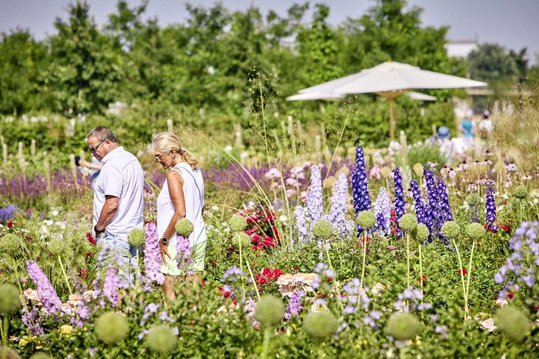 Sieben Zahlen zur Bundesgartenschau 2023