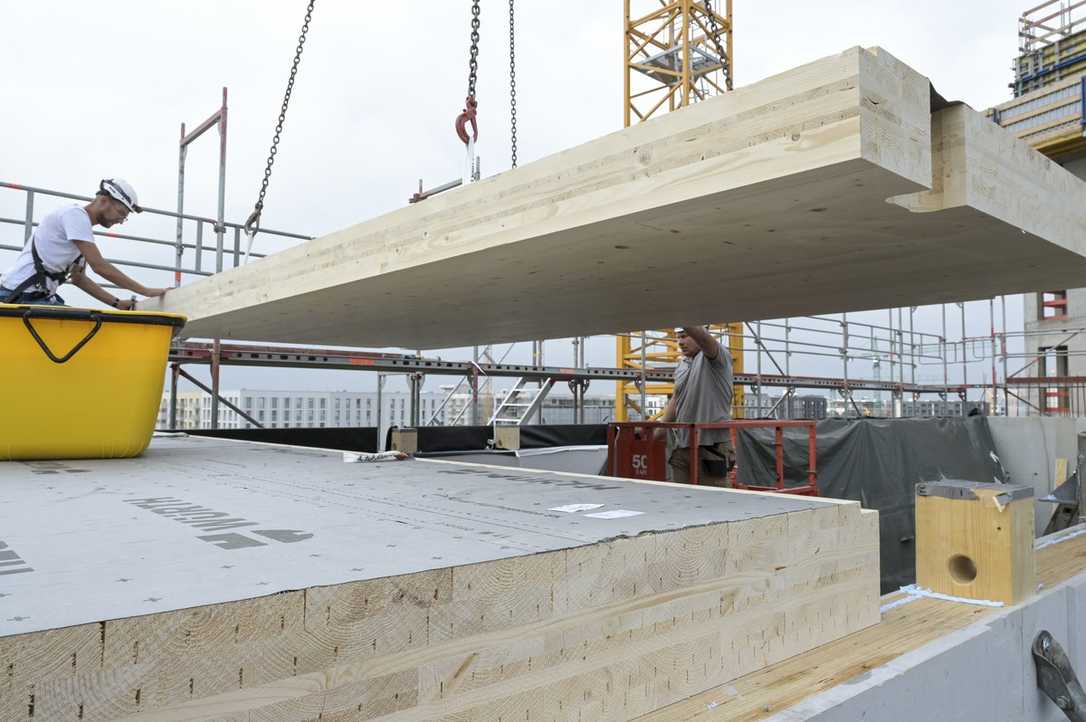 Holzbau: Förderfähige Projekte zum Bauen mit Laubholz gesucht