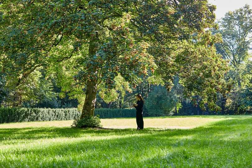 Ein digitales Baumkataster ermöglicht regelmäßige Kontrollen. die wesentlich zur Gesundheit des Baumbestands beitragen. | Foto: PBSGEO GmbH