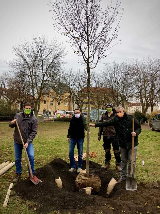 Udo Lindenlaub, Niels Lars Chrestensen, Tom Steinbrück und Norbert Wernet (v.l.n.r.) bei der Baumpflanzung. | Foto: Foto: FGL