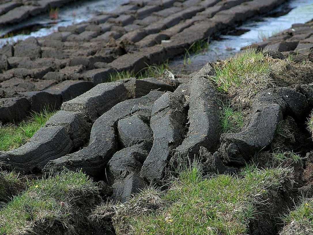 IVG veröffentlicht Rechtsgutachten und wehrt sich gegen Verbot von Torfabbau