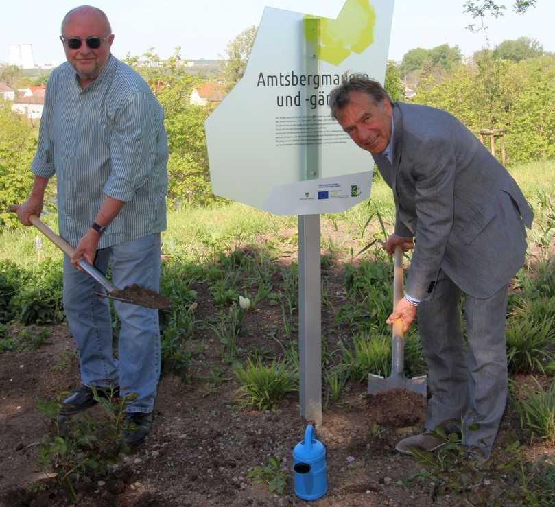 Pflanzaktion zum 252. Geburtstag von Dichter Novalis im Kurpark von Bad Dürrenberg. | Foto: Landesgartenschau