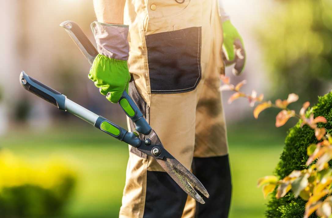 Tarifrunde im GaLaBau 2025: Nächste Verhandlungsrunde startet Tarifrunde im GaLaBau 2025: Nächste Verhandlungsrunde startet