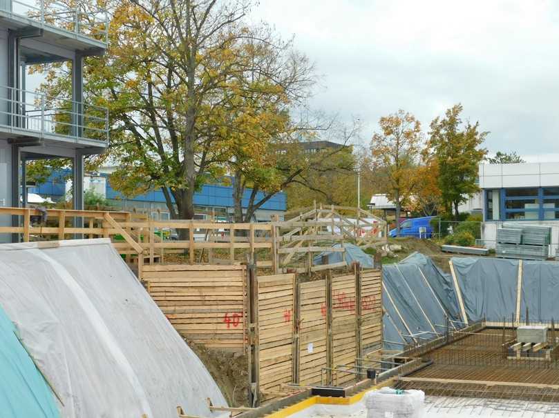 Anstelle einer Böschung wurde hier im Bereich der Bäume auf Anraten eines Baumgutachters ein senkrechter Baugrubenverbau angelegt. Hierdurch konnte ein deutlich größeres Wurzelvolumen erhalten bleiben. | Foto: Gaiser