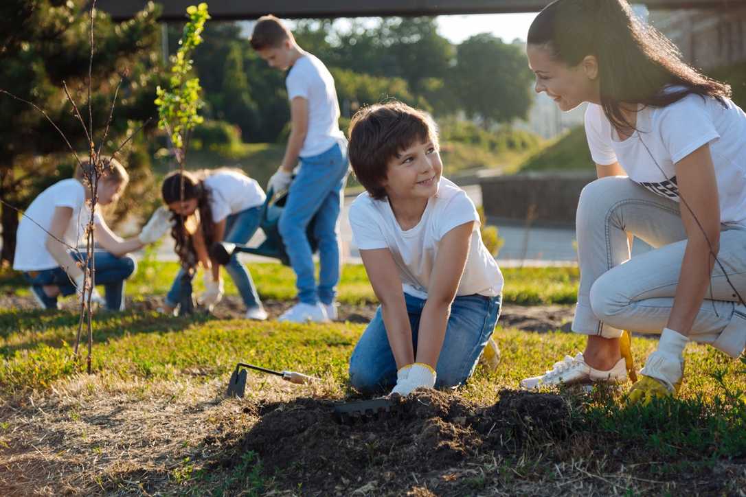 Wie mit Öffentlichkeitsarbeit mehr Verständnis beim Stadtgrün erzeugt wird