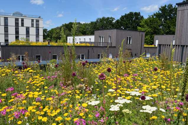 Schutz gegen Hitze und Überflutungen