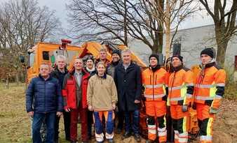 Zehn Feldahorne in Stein gepflanzt