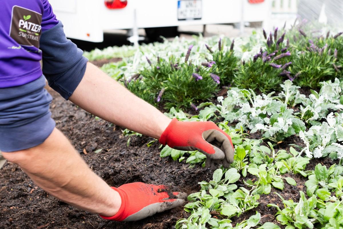 Fußball und Insektenschutz werden verknüpft und so wird das Thema Friedhofsgärtnerei lebendig. | Foto: PATZER ERDEN GmbH