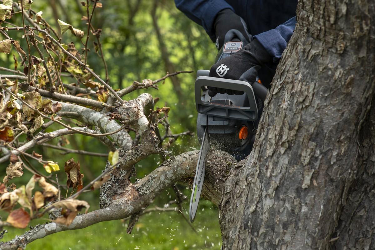 Das Einsatzgebiet der Kettensäge reicht vom Baumschnitt über die Gartenpflege bis hin zu kleineren Baumfällarbeiten. | Foto: Husqvarna