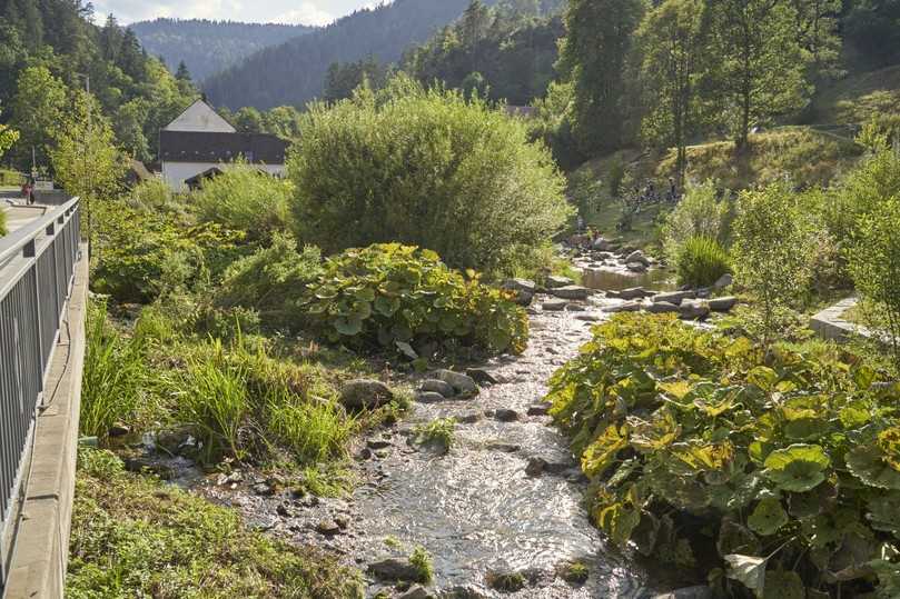 Das Projekt „Freizeitgelände Berneckstrand“ im baden-württembergischen Schramberg erhielt beim Bundespreis 2020 eine Auszeichnung: Nach Ansicht der Jury zeigt es mustergültig, wie Umweltschutz, Hochwasserschutz, Freizeitnutzung und Umweltbildung auf einer Fläche ermöglicht werden können – und durch Einbindung engagierter Nutzer und neue Angebote den Verlust eines Freibades für eine Gemeinde erträglich machen. | Foto: Bundespreis Stadtgrün/Hergen Schimpf