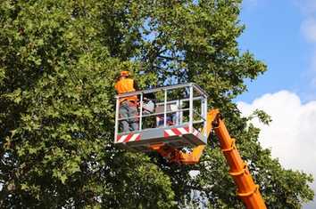 Sicherer Umgang mit Hubarbeitsbühnen bei Baumarbeiten