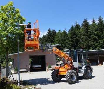 Neuling Paus auf der Demopark