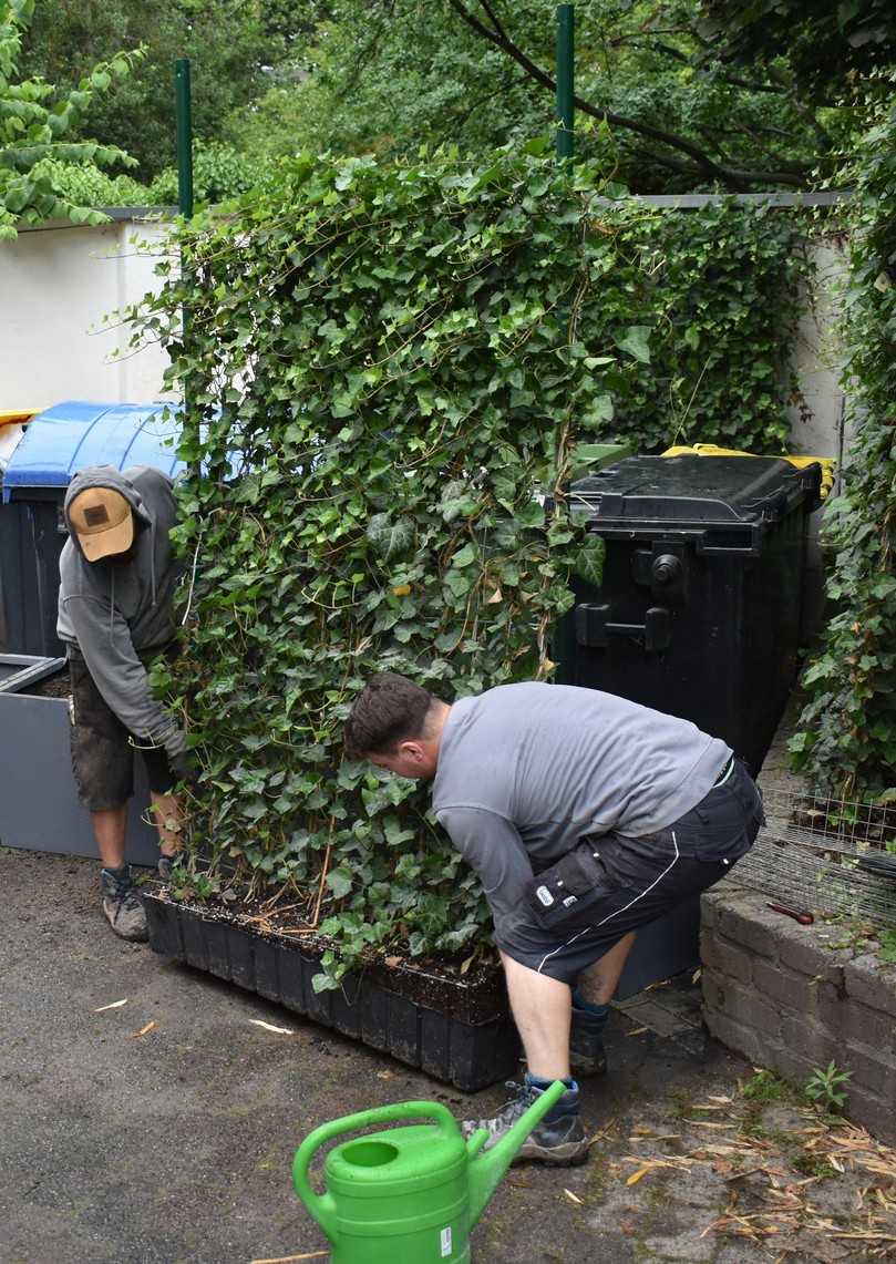 Die einzelnen Hecken-Elemente haben eine Länge von 120 Zentimetern. Wie bei einem Zaun lassen sich die Einzelteile beliebig verlängern und können auf Wunsch sogar das gesamte Grundstück einfrieden. | Foto: Helix